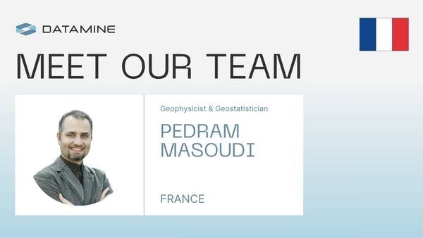 Meet our team - Pedram Masoudi